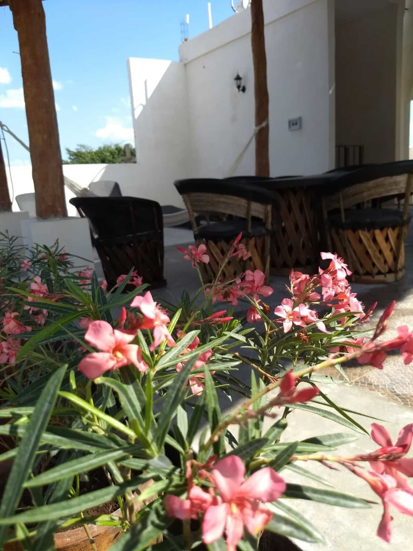 Sol-Ha Tulum Hotel Boutique Buitenkant foto